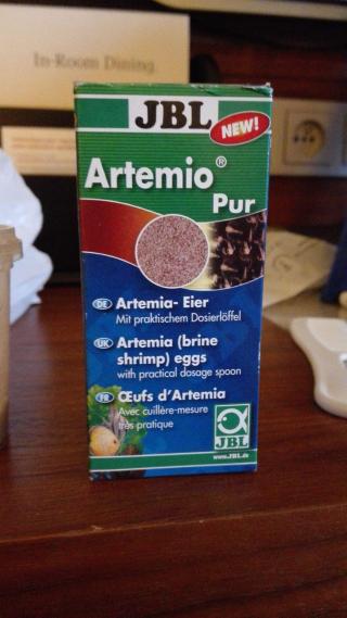 Fleuriste La Baleine Blanche 0