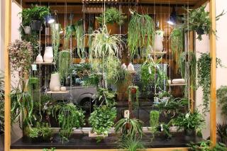 Fleuriste Interflora - L'ATELIER Fleuriste 0