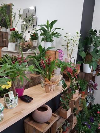 Fleuriste La petite boutique - Fleuriste 1