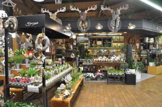 Fleuriste Demoras Fleuriste 0