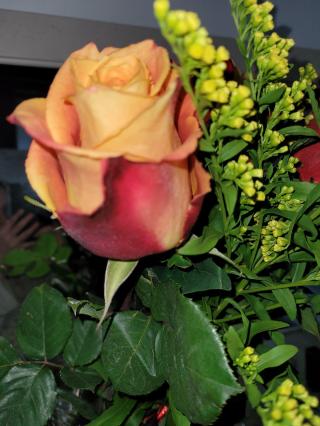 Fleuriste Aux 4 Saisons 0