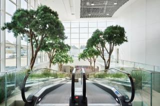 Fleuriste Ambiance Florale Paris 0