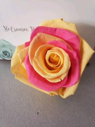 Fleuriste Artifleurs, rose éternelle 2