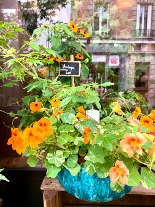 Fleuriste EVE CASALTA l'Atelier des fleurs 0