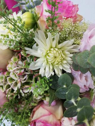 Fleuriste L'Aloës 0