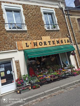 Fleuriste L'Hortensia, SARL Derouault 0