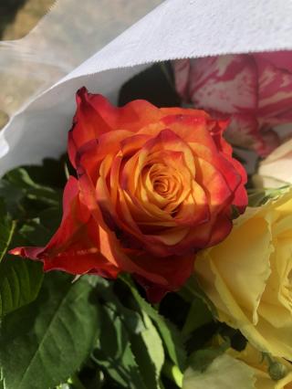 Fleuriste Les Roses Modernes 2