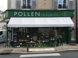 Fleuriste Pollen 0
