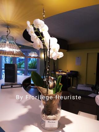 Fleuriste Florilège fleuriste à Saint Cyprien 0