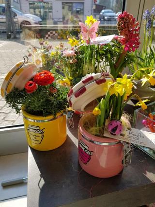 Fleuriste Placiflor 0