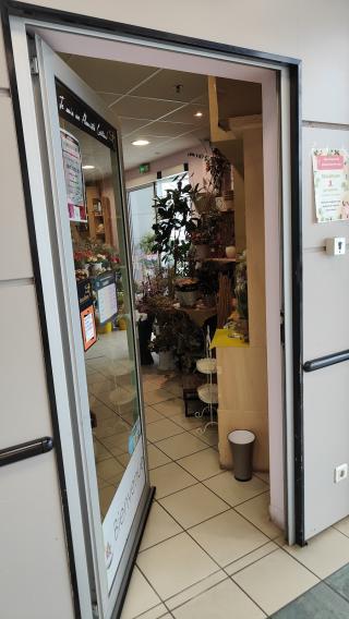 Fleuriste Le Bonheur des Plantes, Artisan Fleuriste Poitiers 0