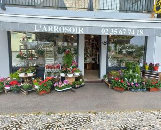 Fleuriste L'Arrosoir - Quièvre Patrick 0