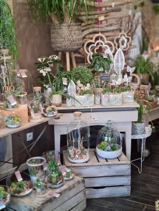 Fleuriste A fleur de pot 0