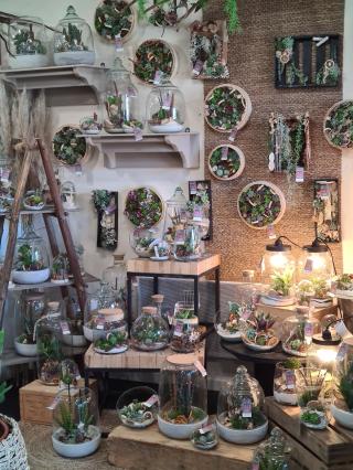 Fleuriste A fleur de pot 0