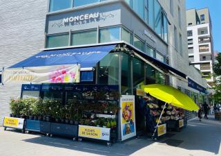 Fleuriste Monceau Fleurs 0