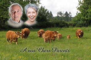 Fleuriste Plaque funeraires Rodez Ets Roux 0