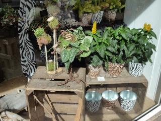 Fleuriste VEGETAL PASSION 0