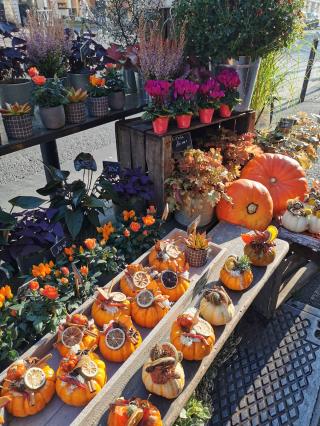 Fleuriste Fleuri Park 0