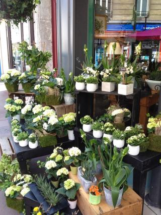 Fleuriste Fleuri Park 0