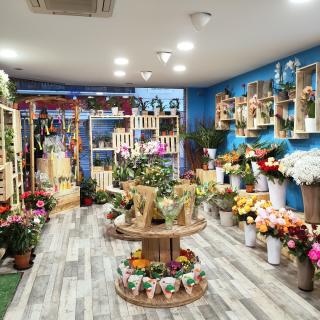 Fleuriste L'exotik 1