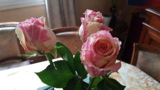 Fleuriste La ronde des fleurs 0