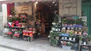 Fleuriste MIREILLE FLEURS 0