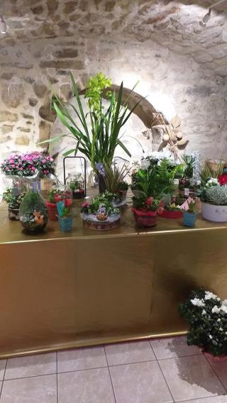 Fleuriste Peyrissaguet Franck 0