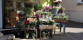 Fleuriste Fleuriste à Orsay - Sauvaje 0