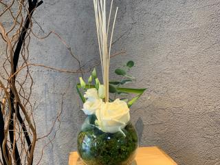 Fleuriste Luciflore 0