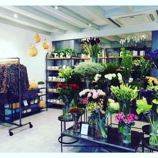 Fleuriste Eden & Rose - Fleuriste & Prêt à porter femme 0