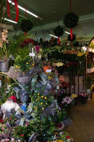 Fleuriste Le Petit Nice 0