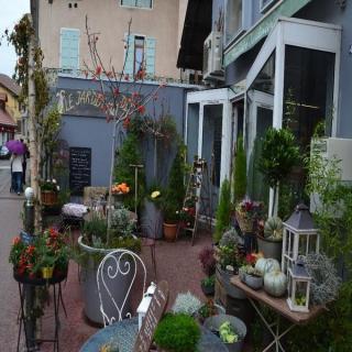 Fleuriste Le Jardin M'a Dit 0