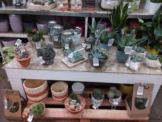 Fleuriste Fleurs du littoral 2