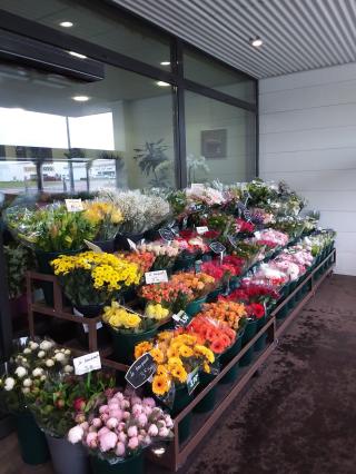 Fleuriste Fleurs du littoral 0