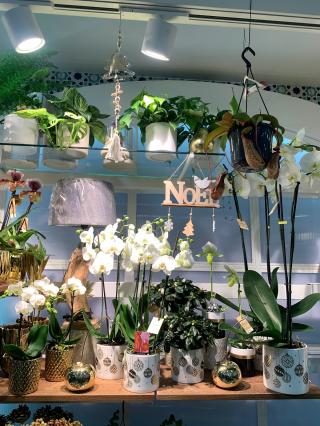 Fleuriste Coral Sunset 0