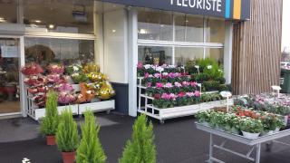 Fleuriste Orange Bleu Fleurs 0