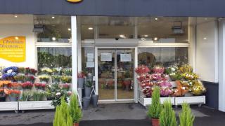 Fleuriste Orange Bleu Fleurs 0