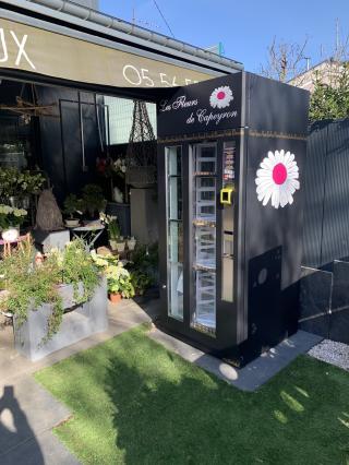 Fleuriste Les Fleurs de Capeyron 0