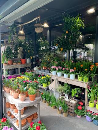 Fleuriste Les Fleurs de Capeyron 0