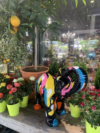 Fleuriste Les Fleurs de Capeyron 0