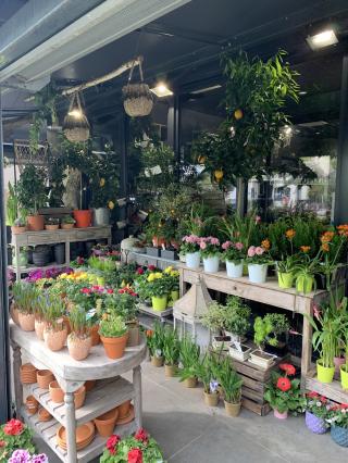 Fleuriste Les Fleurs de Capeyron 0