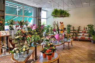 Fleuriste Le Jardin des Fleurs 1