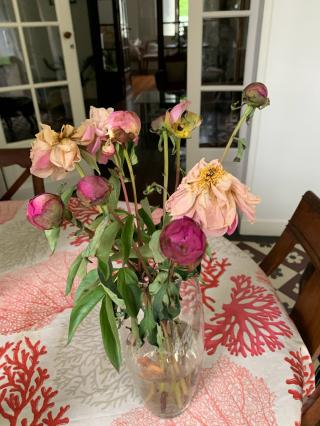 Fleuriste Le Jardin des Fleurs 0