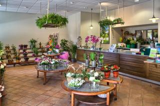 Fleuriste Le Jardin des Fleurs 0