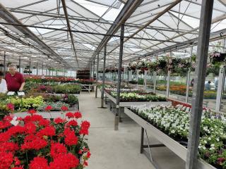 Fleuriste BUISSART 0