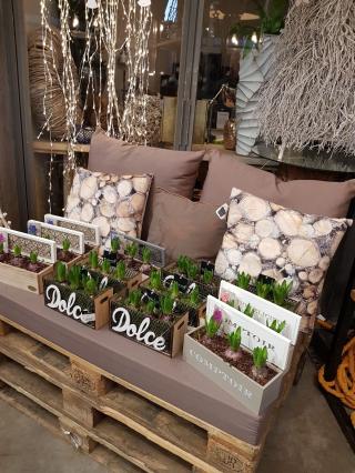 Fleuriste Roni Fleurs - Juan les Pins 0