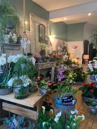 Fleuriste Fleurs du Méné, Artisan Fleuriste 0