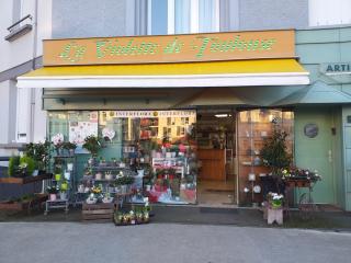 Fleuriste A la Violette de Toulouse 0