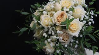 Fleuriste L'Arrosoir 0