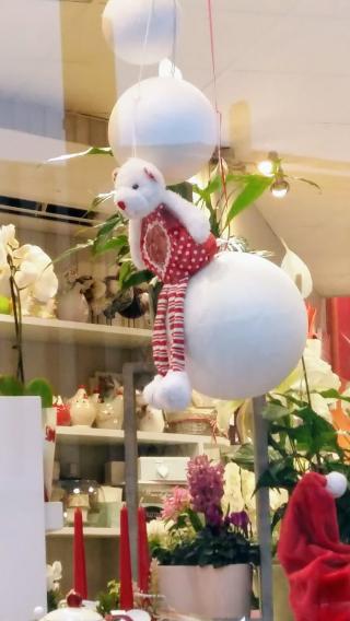 Fleuriste Fleuriste Coquelicot 1